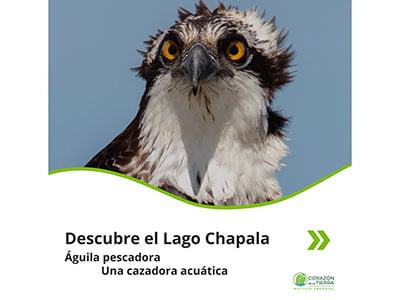 Campañas-de-comunicación