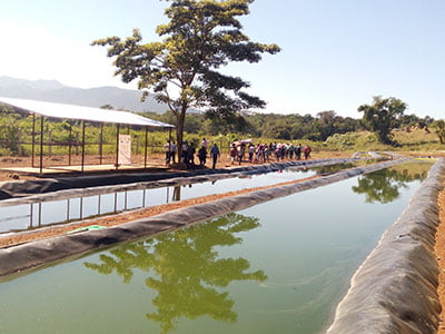 Humedales-artificiales