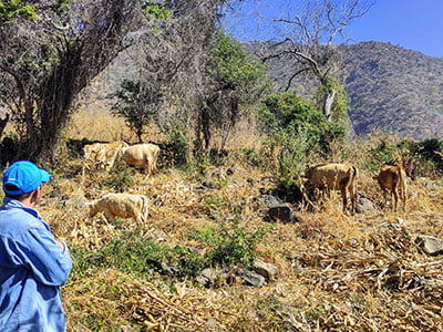 Producción-alternativa-3