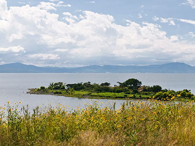 Participación-en-comisiones_400